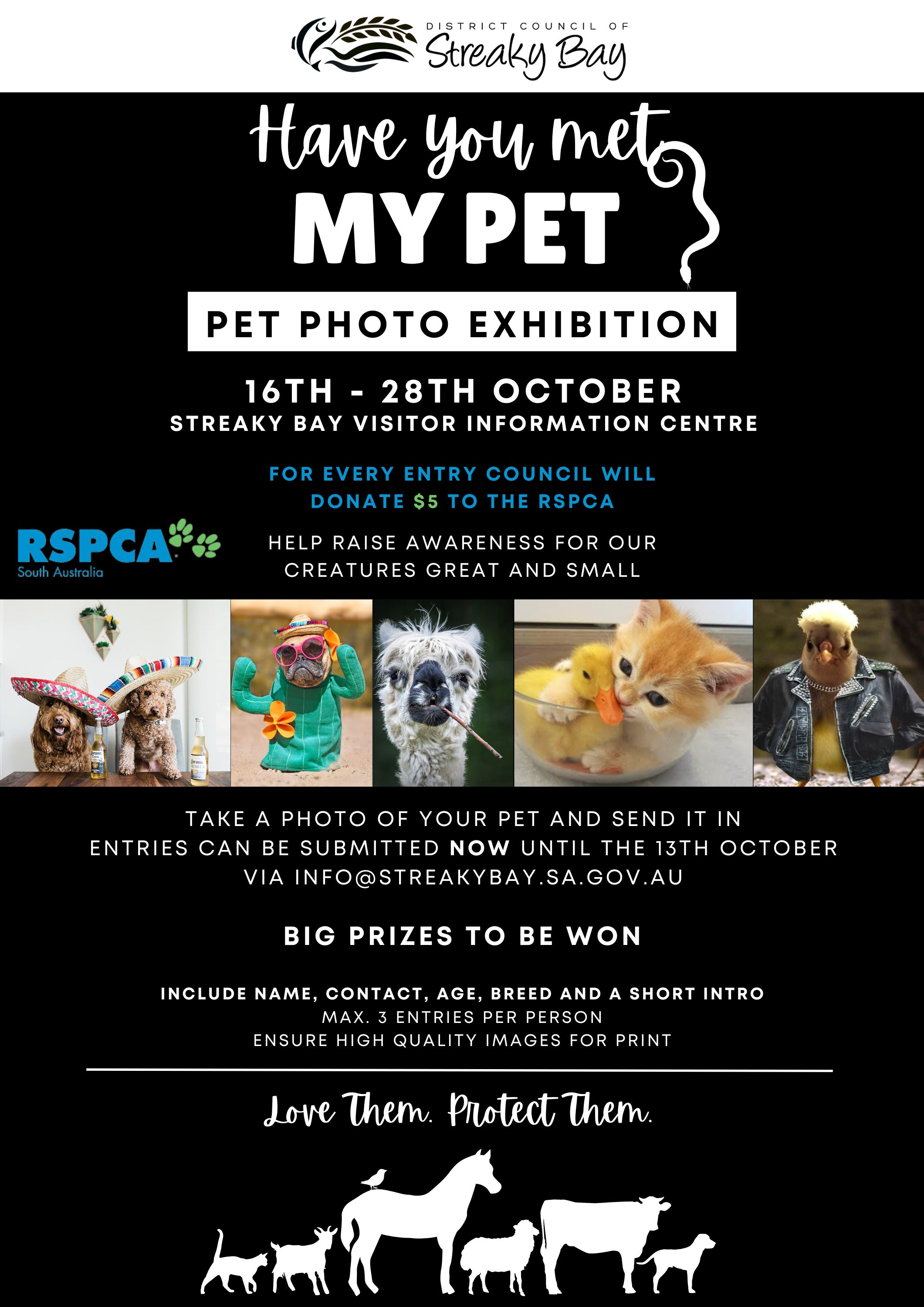 Pet Photo Exhibition